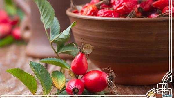 《刺客信条:英灵殿》维京饮食之道介绍