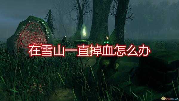 《Valheim:英灵神殿》雪山太冷一直掉血解决方法介绍