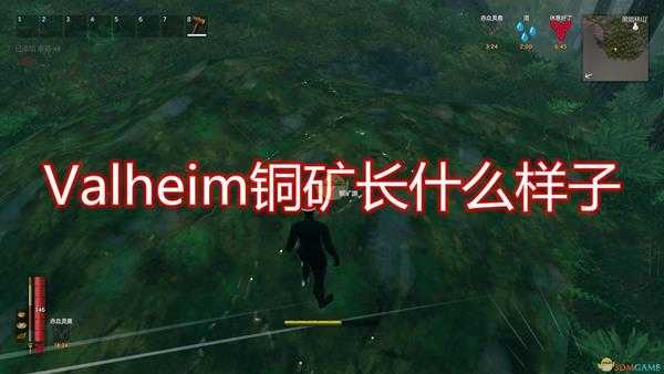 《Valheim:英灵神殿》铜矿长相外观介绍