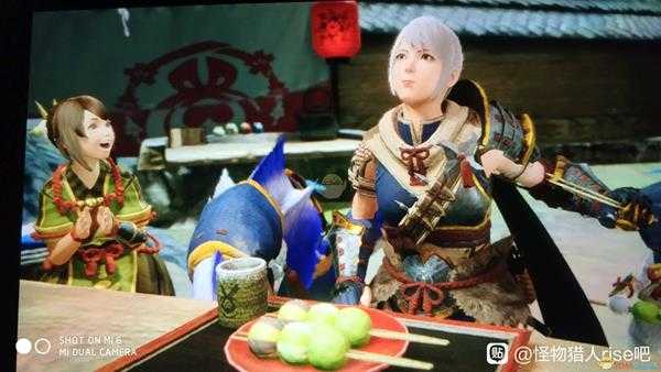 《怪物猎人:崛起》白色短发小姐姐捏脸数据一览