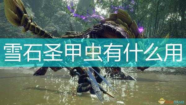 《怪物猎人:崛起》雪石圣甲虫作用效果介绍