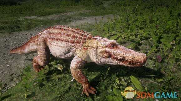 《荒野大镖客2》全线上传说动物及服装一览