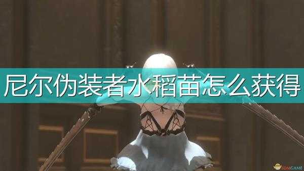 《尼尔:伪装者》水稻苗获得方法介绍