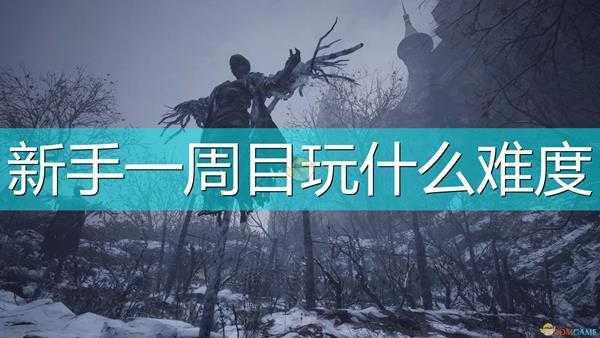 《生化危机8:村庄》新手一周目难度推荐