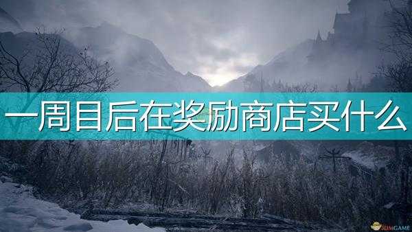 《生化危机8:村庄》一周目奖励商店必买道具介绍