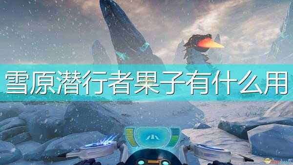 《深海迷航:冰点之下》雪原潜行者果子作用效果介绍