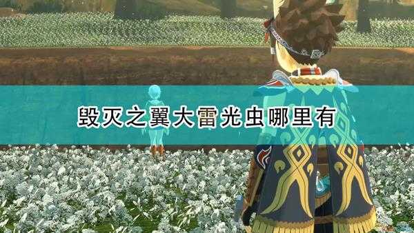 《怪物猎人物语2:毁灭之翼》大雷光虫位置介绍
