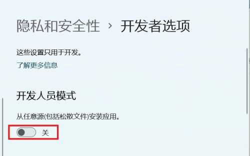 win11系统怎么开启开发者选项