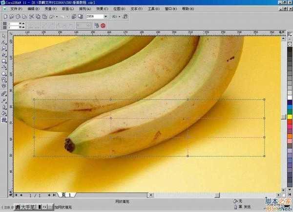 CorelDraw(CDR)利用网格工具模仿制作逼真香蕉实例教程详解