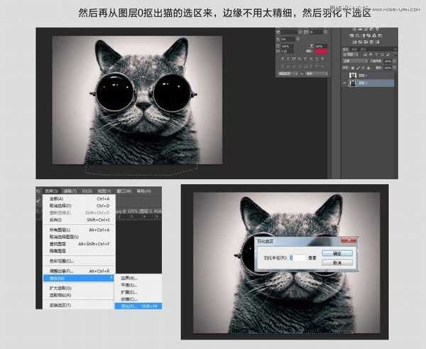 Photoshop使用通道给黑色猫咪抠图