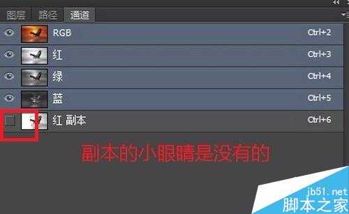 Photoshop抠图方法有哪些?如何抠图?