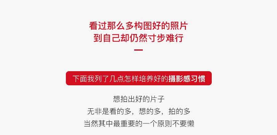 为什么看过太多的构图法则却依旧拍不好照片?