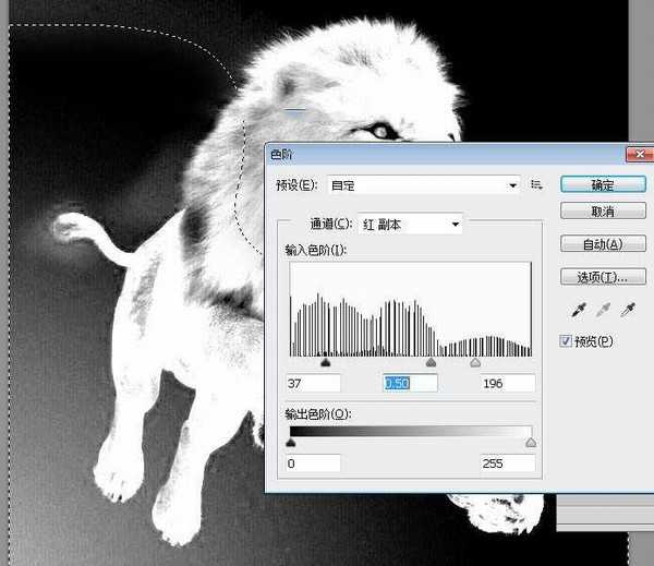 Photoshop巧用通道抠图完美抠出毛茸茸的狮子教程