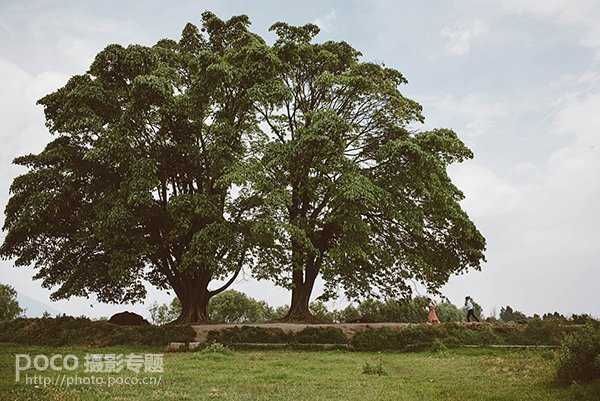 拍摄情侣照or婚纱照如何摆姿最自然？