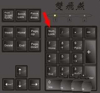怎么设置电脑开机自动启动小键盘灯NumberLock?